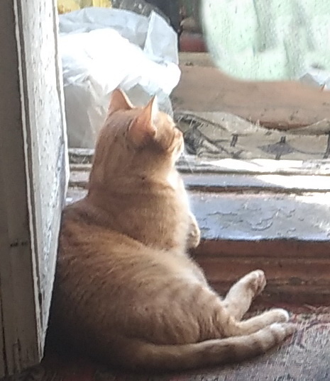 лличное фото