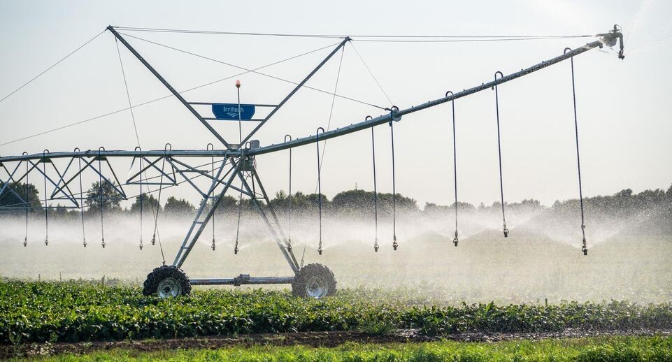    фото: Медиасток.РФ