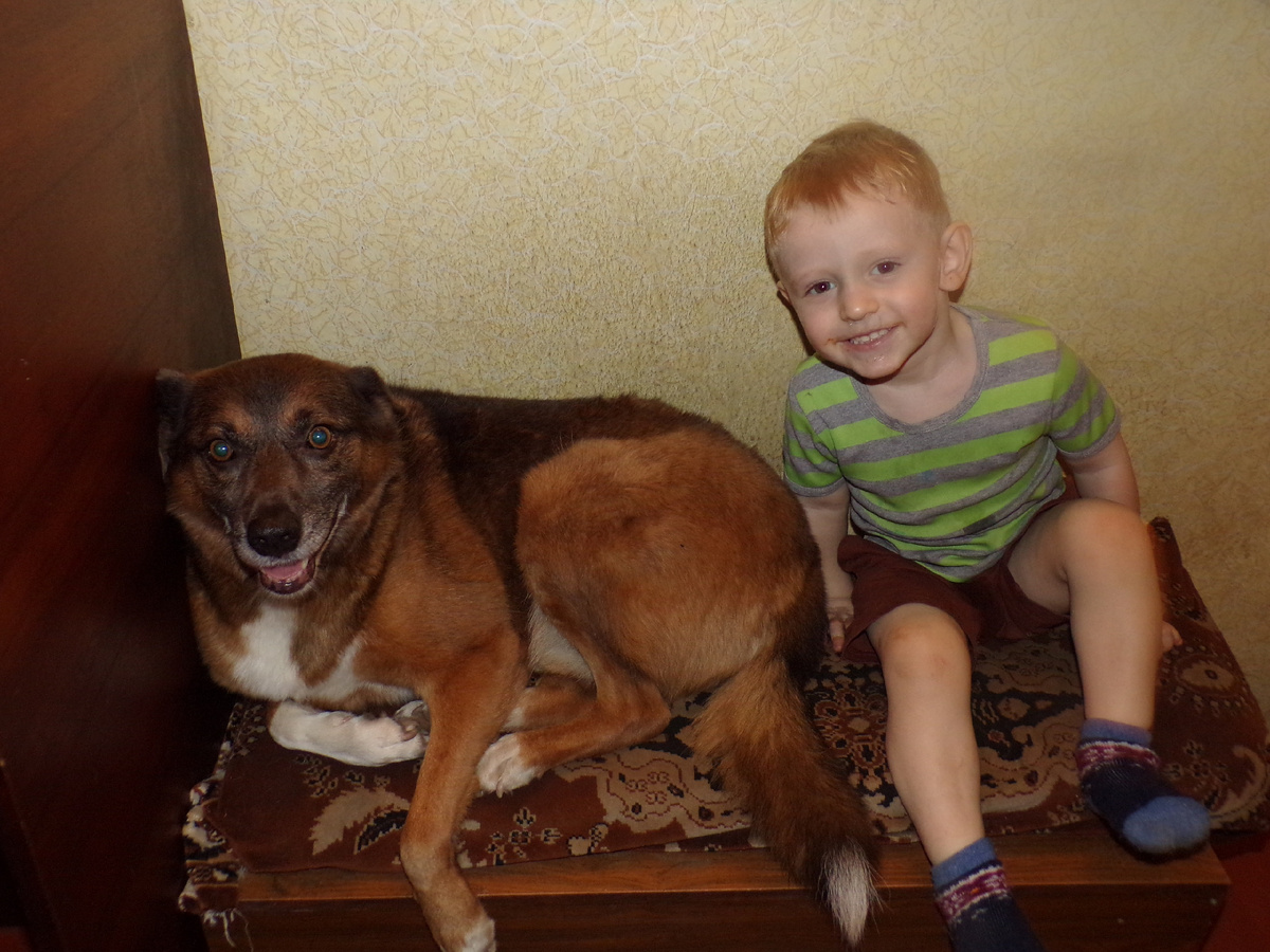 Только заехали в квартиру, ремонта по уши, в кошельке пусто, но все довольны, и никто не обижен 