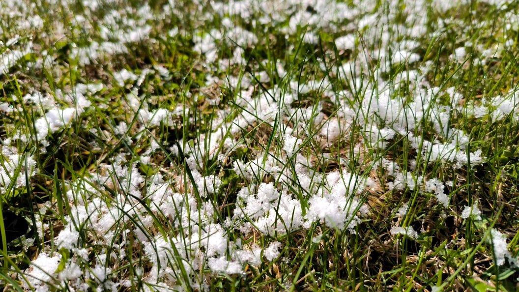    Фото: Maksim Konstantinov/Globallookpress