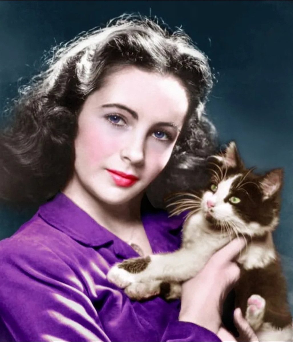 Фото из открытого источника интернета