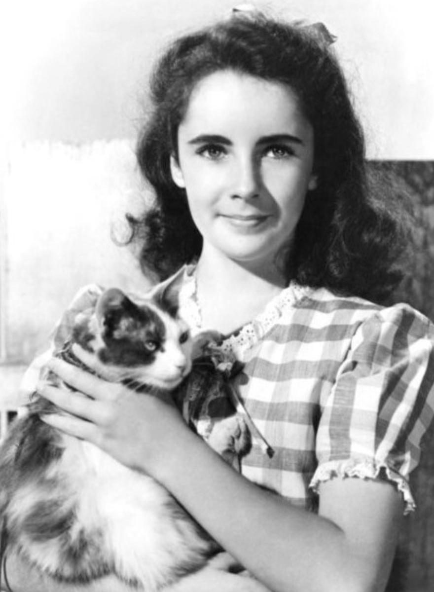 Фото из открытого источника интернета