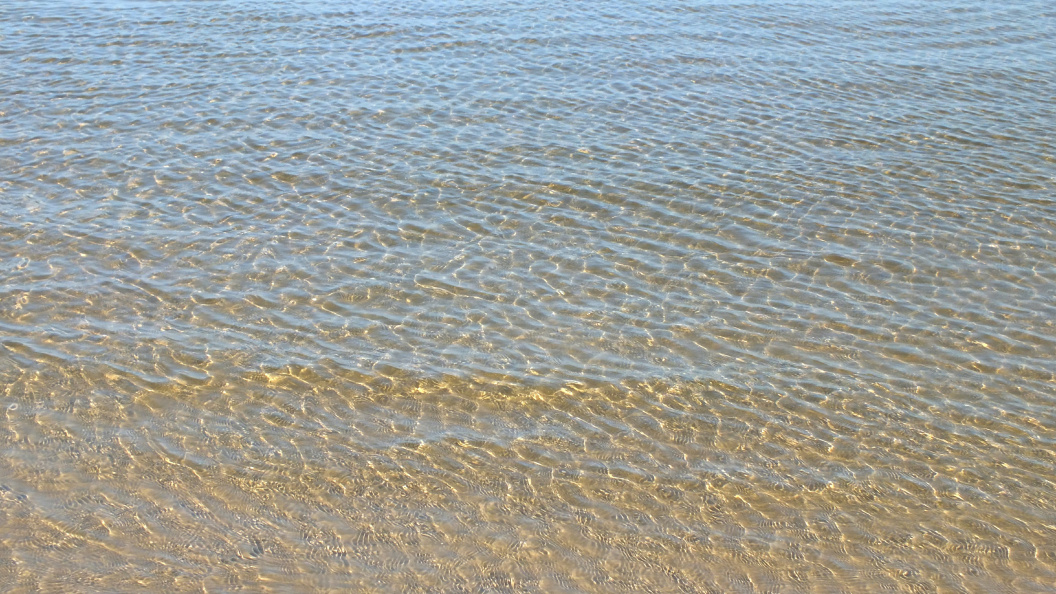    Victor Lisitsyn/Globallookpress