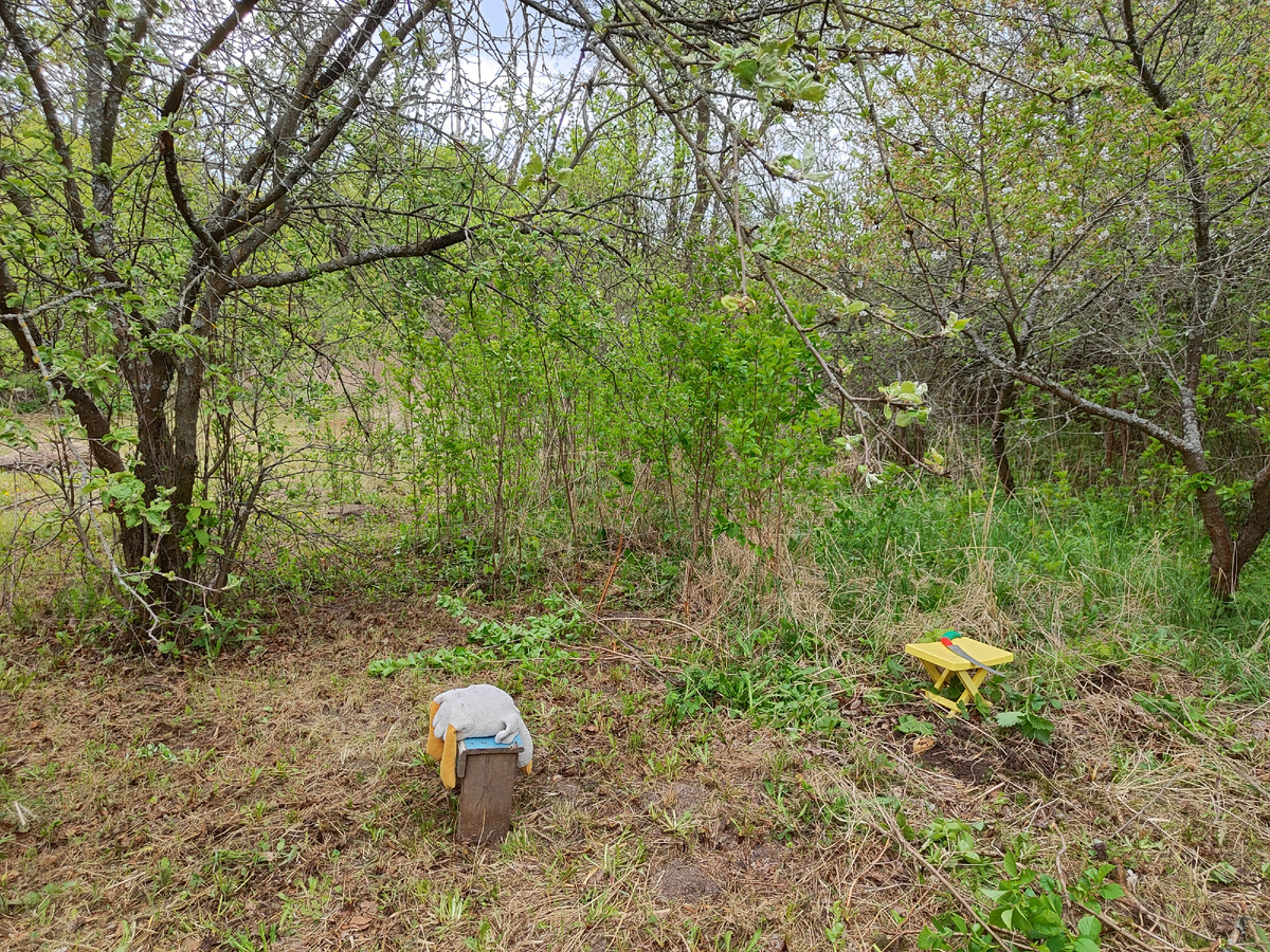 Начало положено 