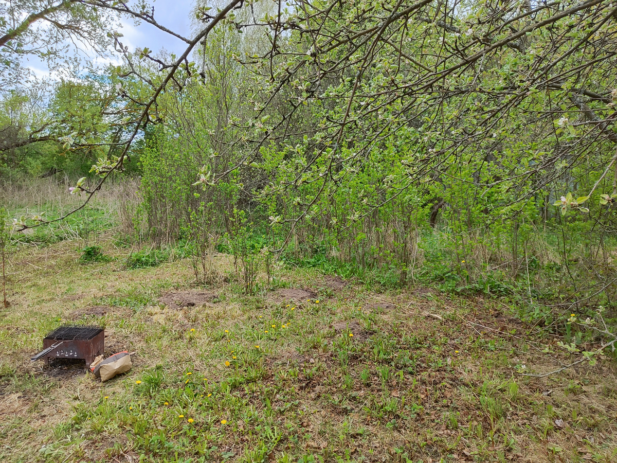 Фронт работы 