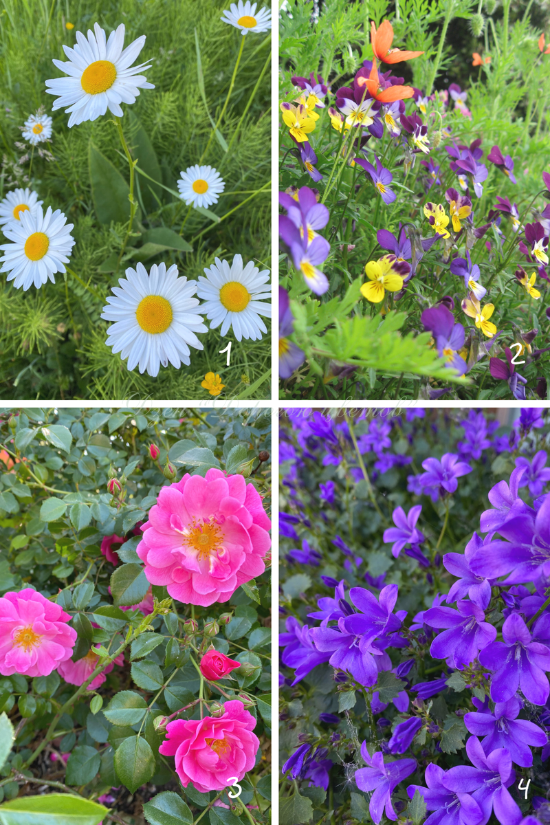 Подборка личных фото 