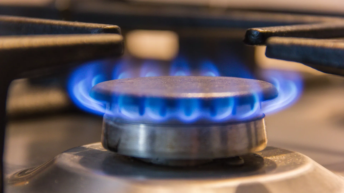 © photo: Sputnik / Stringer