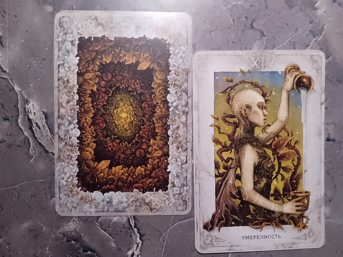 Рубашка карт