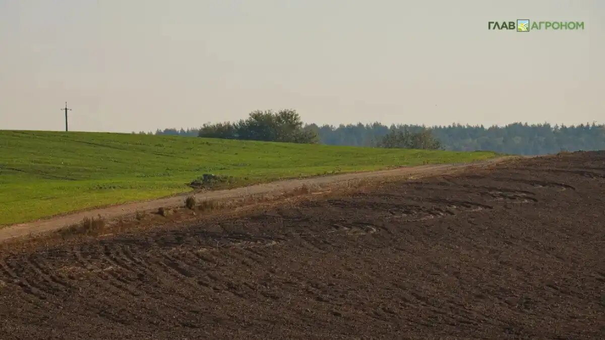 Фото:© Владимир Исаенко / Glavagronom.ru
BEFL опубликовала новый рейтинг крупных владельцев сельскохозяйственной земли в России
