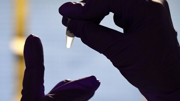    © РИА Новости . Максим Богодвид