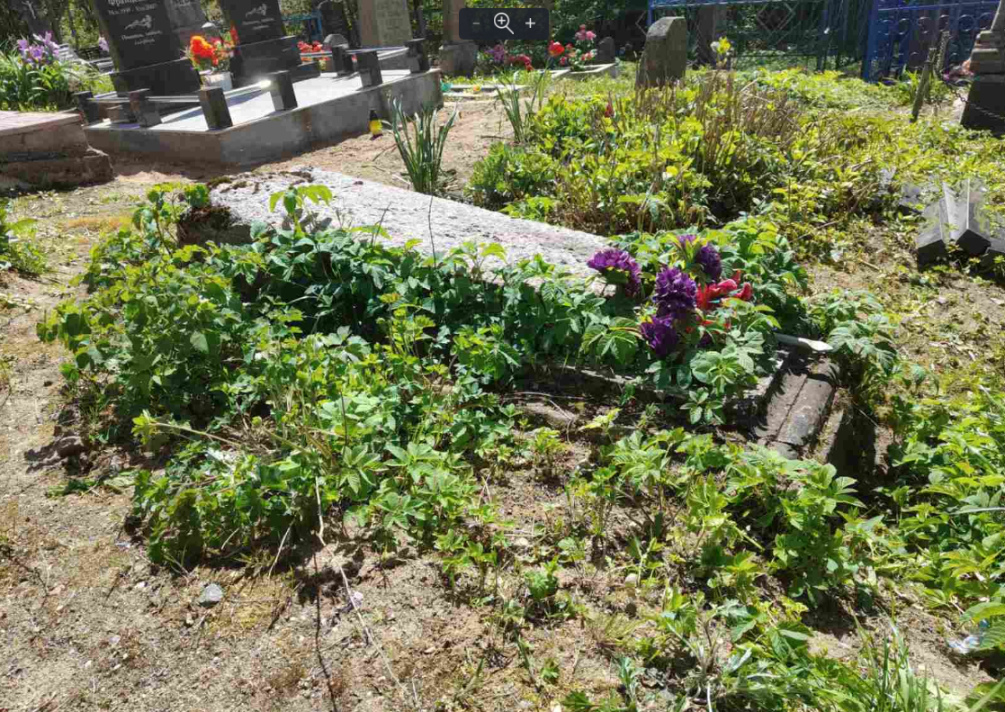 Если не ухаживать, то может произойти вот так