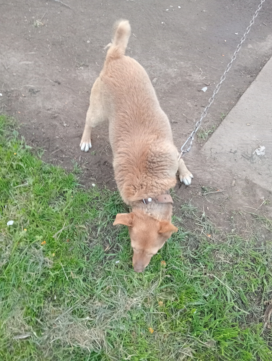 НАШ Бонька!