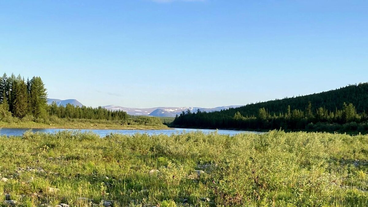 Полночь, в которую видно всё. 
Север без сна.