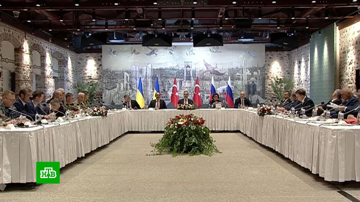    «Мы удовлетворены»: о чем договорились РФ и Украина в Стамбуле