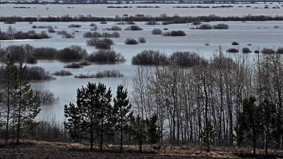 Фото: Александр Миридонов / Коммерсантъ