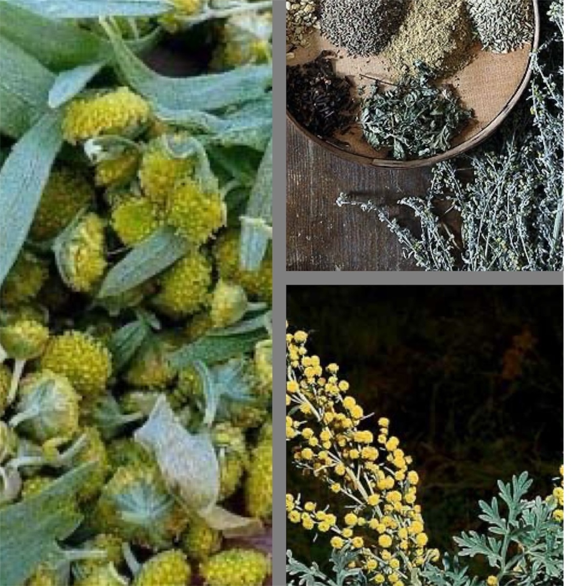 Фото -  Pinterest