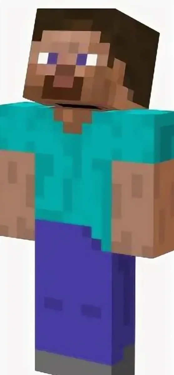 Стив на компьютерной версии