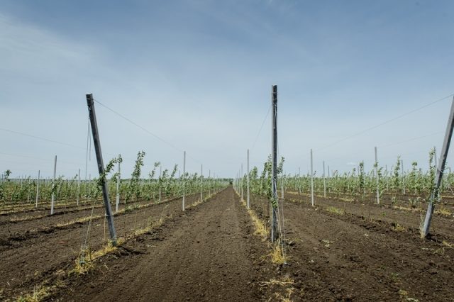     Фото: Правительство Воронежской области