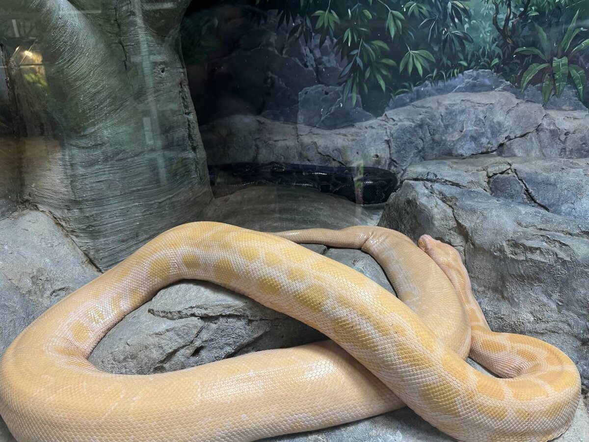 Фото: Тульская служба новостей