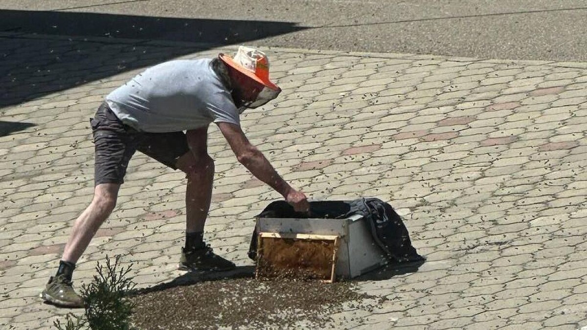    Фото: t.me/elizavetka_krd