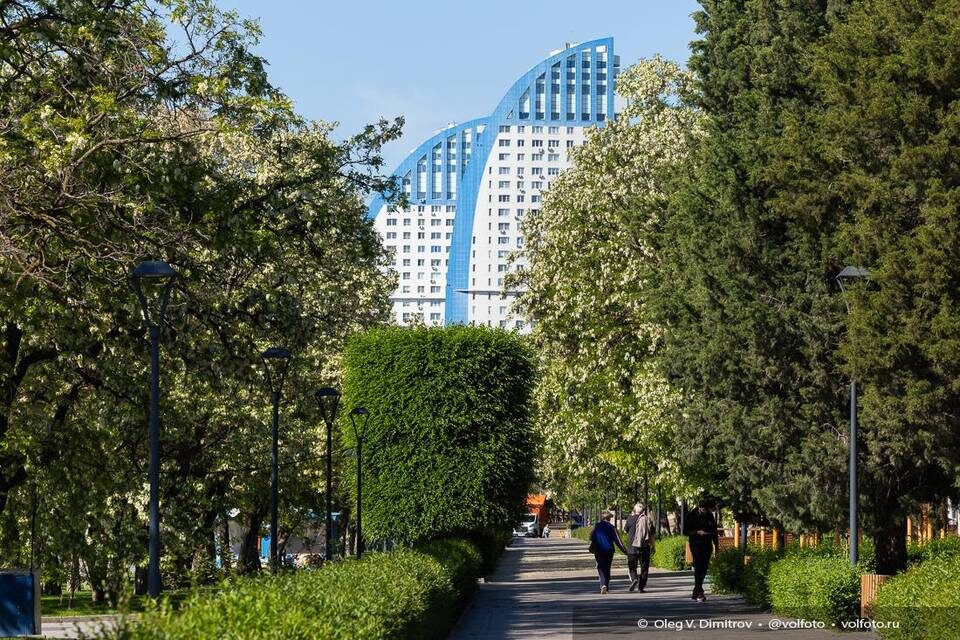    Фото: Олег Димитров / "Городские вести"