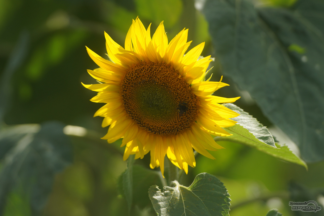    Фото: Лидия Аникина © ИА "Уральский меридиан"