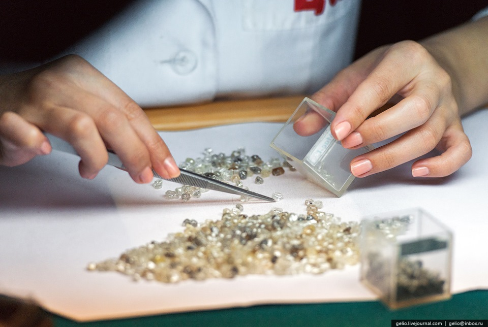 Фото взято из общего доступа в сети интернет