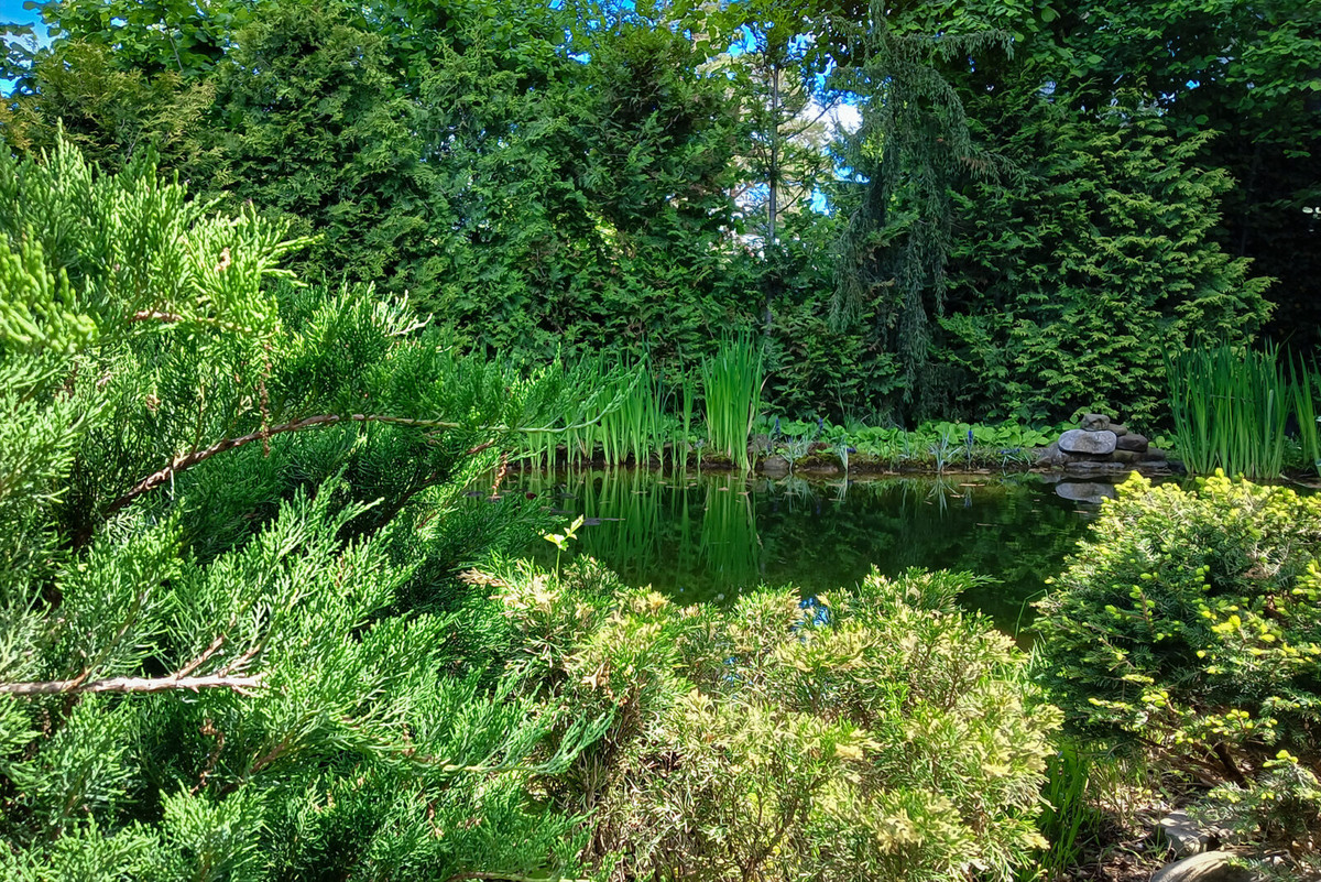 Наша дача сейчас