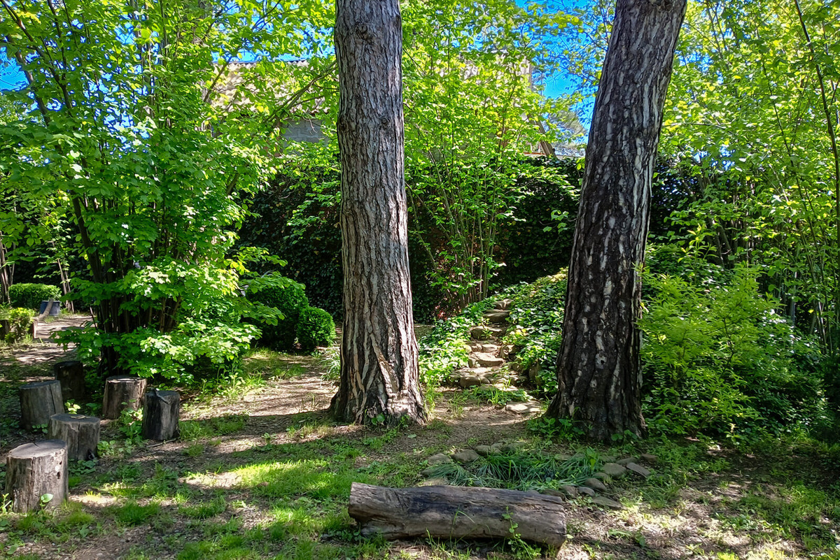 Пицундские сосны уже на 30 лет старше