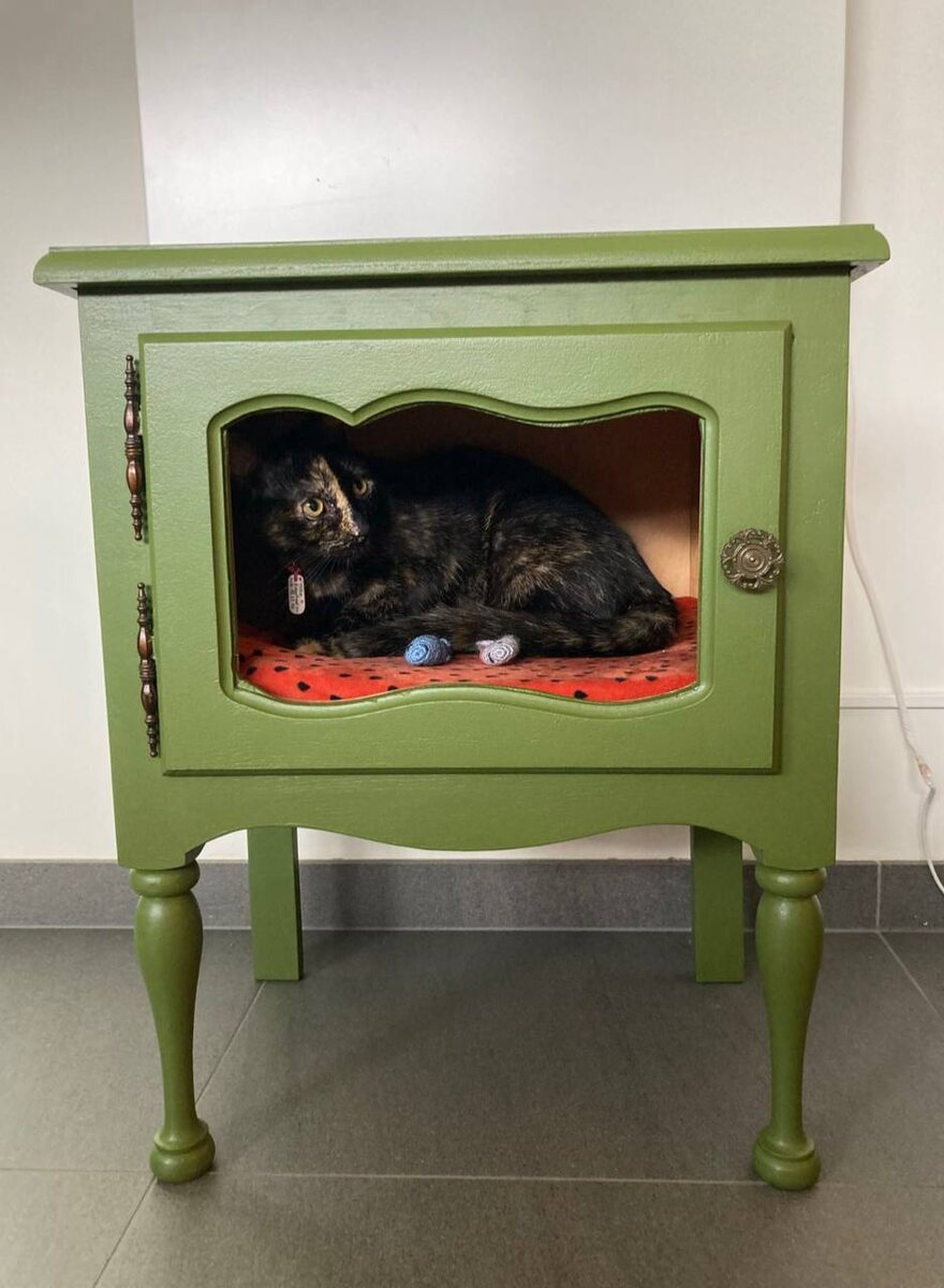 Фото взяты из открытых источников