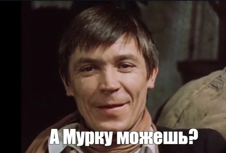 Промокашка знал толк в хорошей музыке. Источник: Яндекс картинки