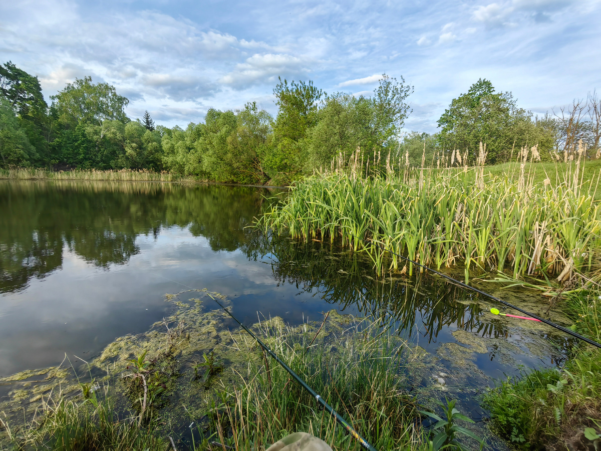 Вечерний водоём 