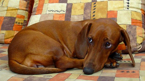 Источник: https://clck.ru/3M7dro