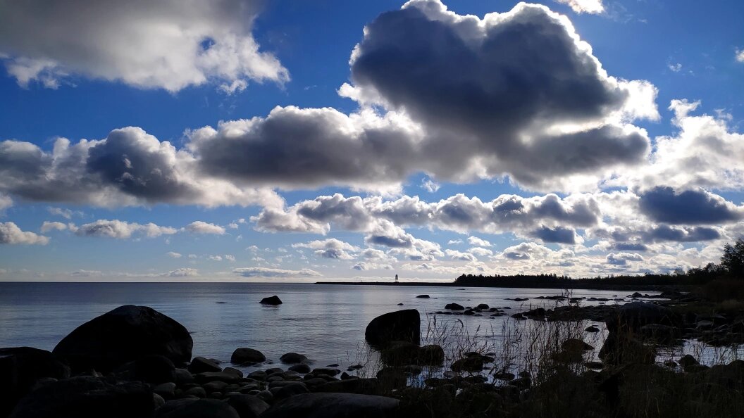    фото: Maksim Konstantinov/Global Look Press