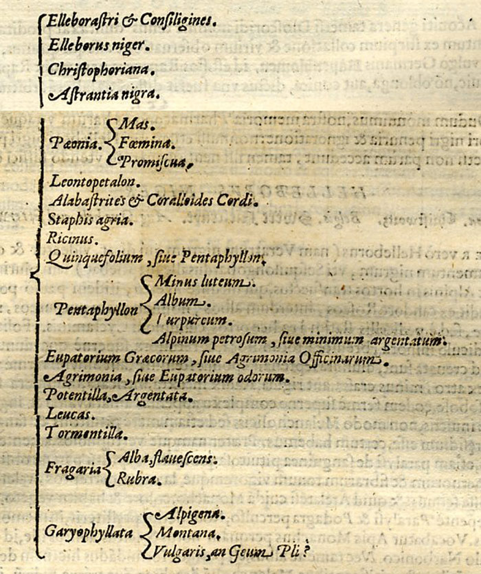 Фрагмент текста из книги «Nova stirpivm adversaria..."