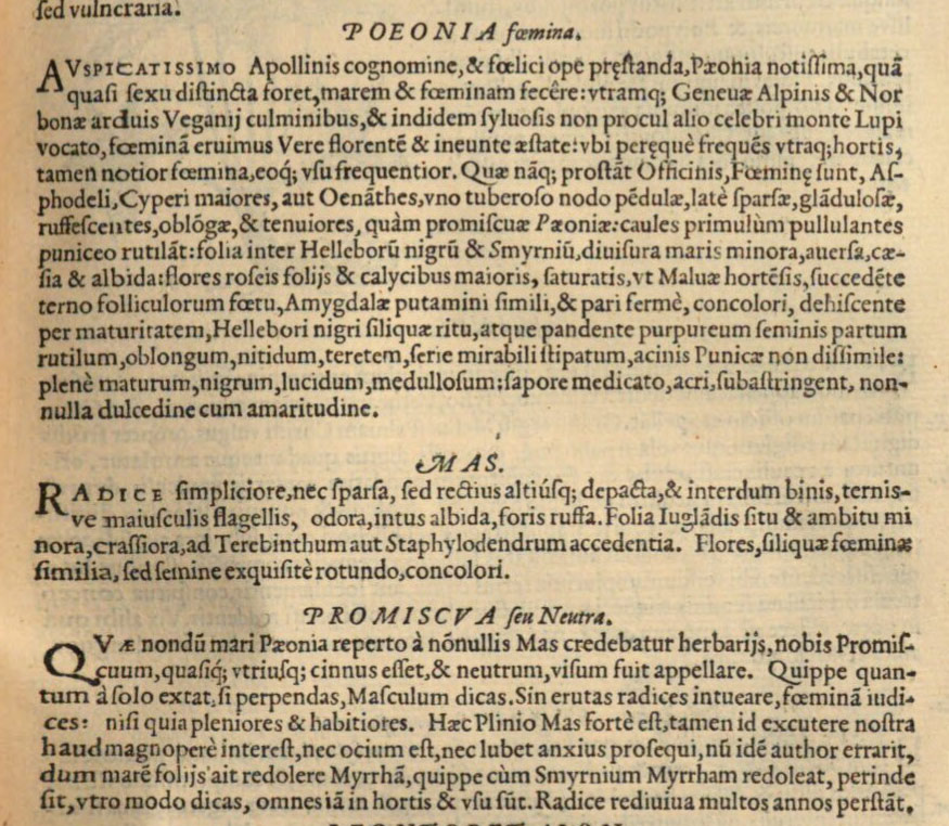 Фрагмент текста из книги «Nova stirpivm adversaria..."