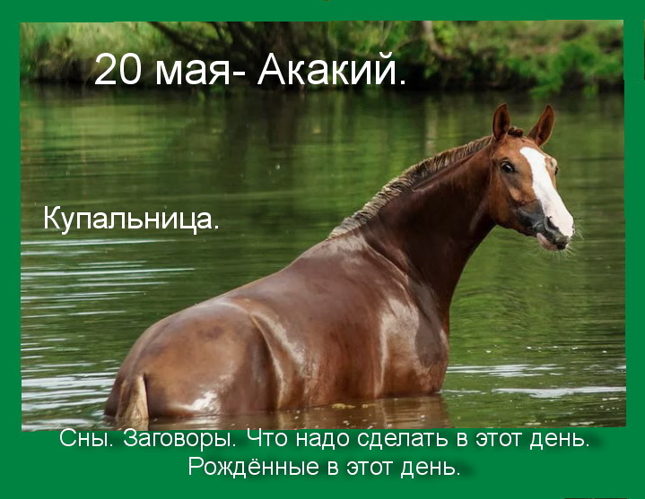 Источник  : Яндекс  картинки.