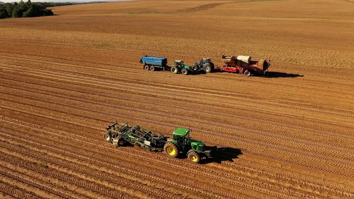 Фото: dokagene.ru
Уборка картофеля на полях «Дока-Генные Технологии»