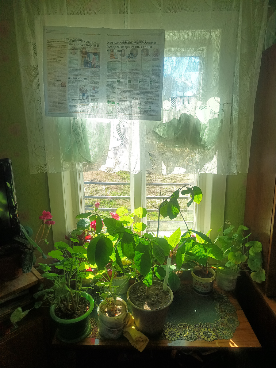 Окно до выставления второй рамы.