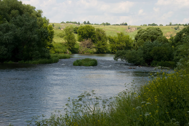 Река Упа в Тульской области. Из открытых источников.