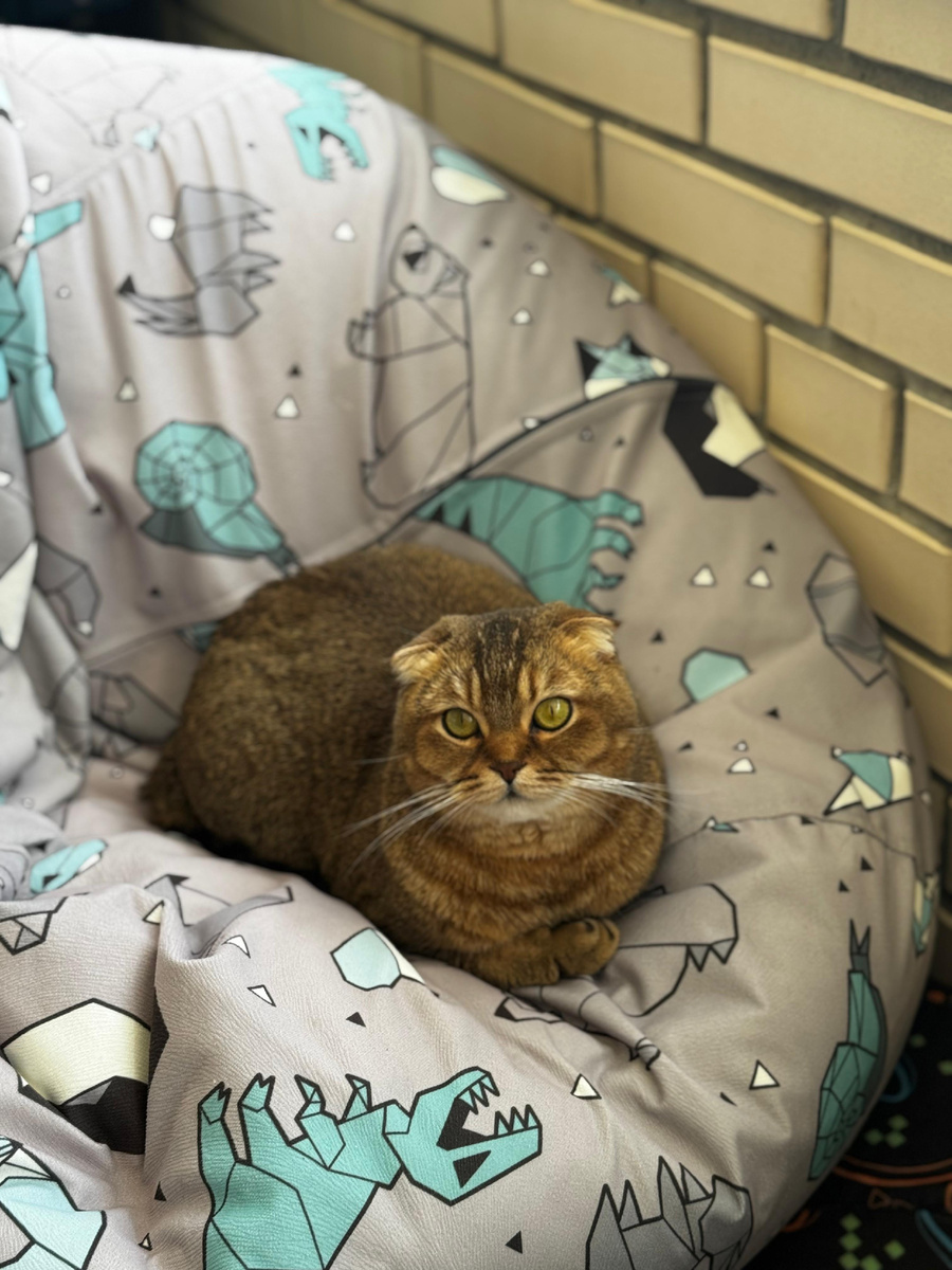 Мэй Ли (из личного архива)