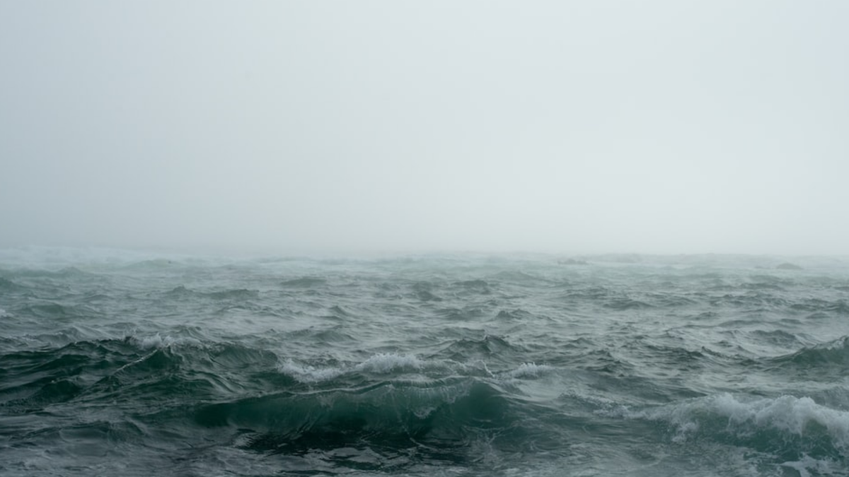 Начало шторма. 