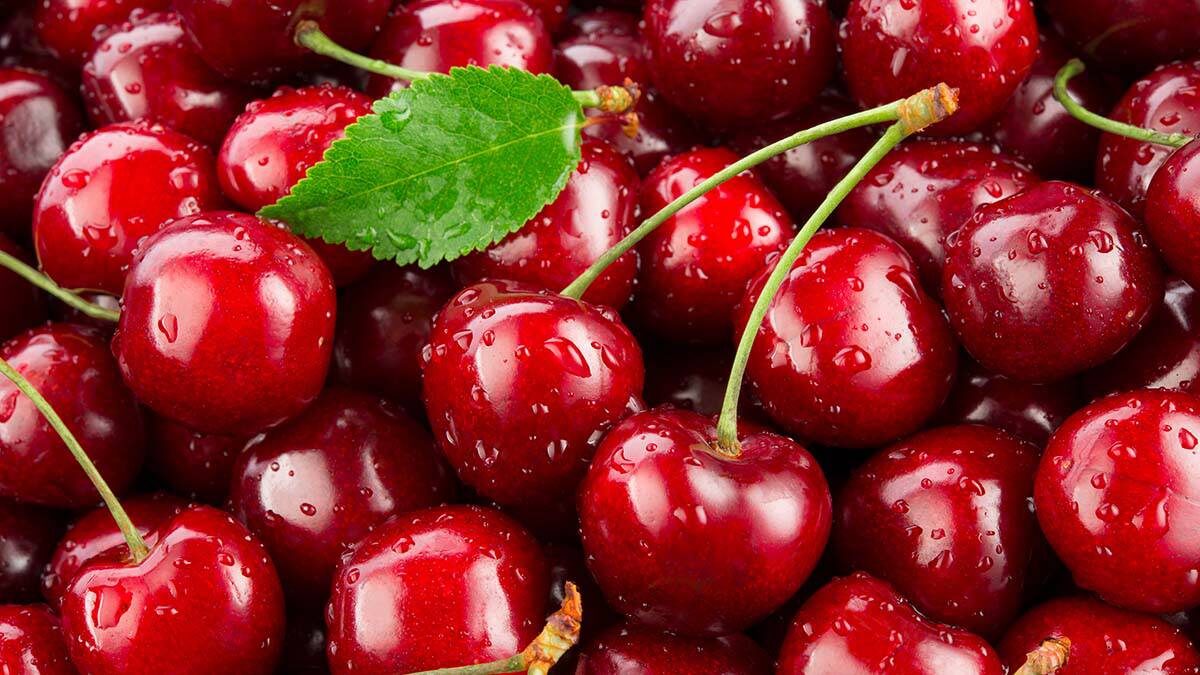    Фото: shutterstock