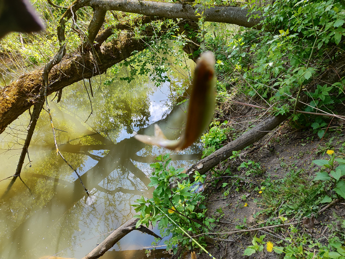 мой улов в 2025)