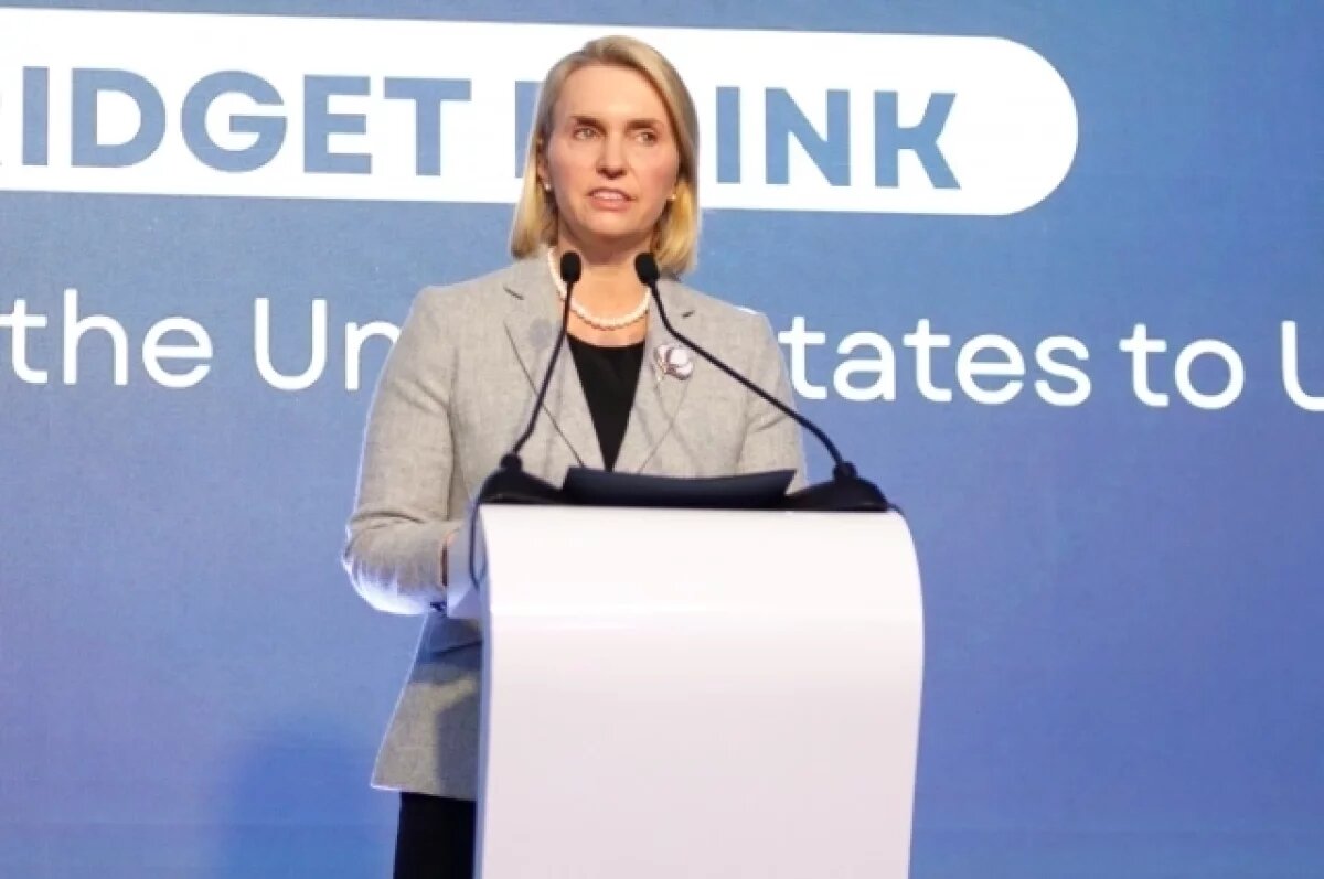    DFP: экс-посол США Бринк ушла в отставку из-за давления Трампа на Украину