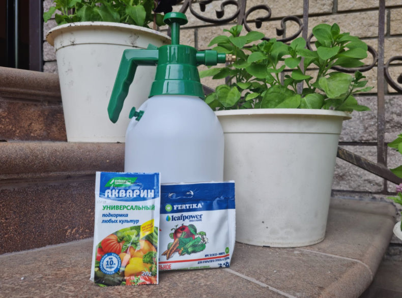 Листовые подкормки - мощный инструмент для поддержания активного роста растений