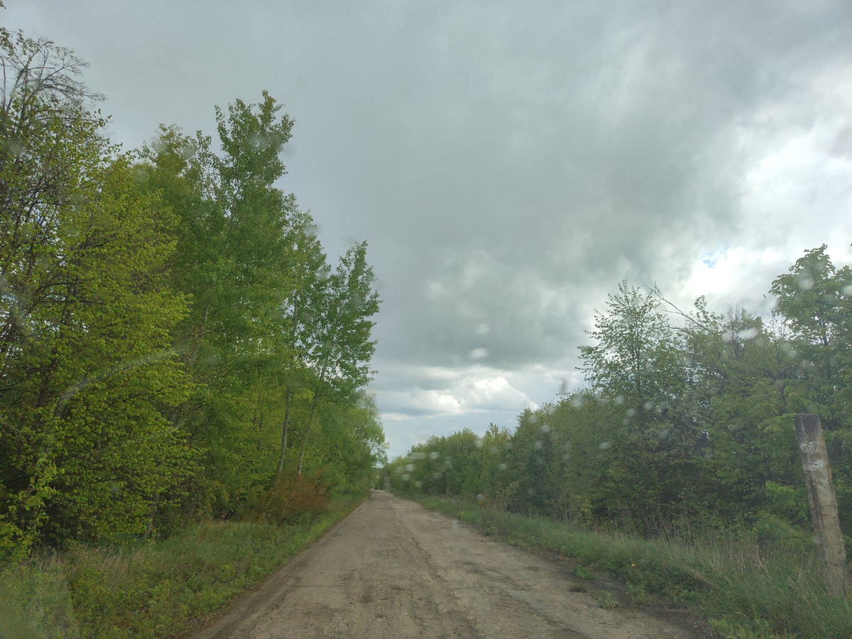 дорога на пруд