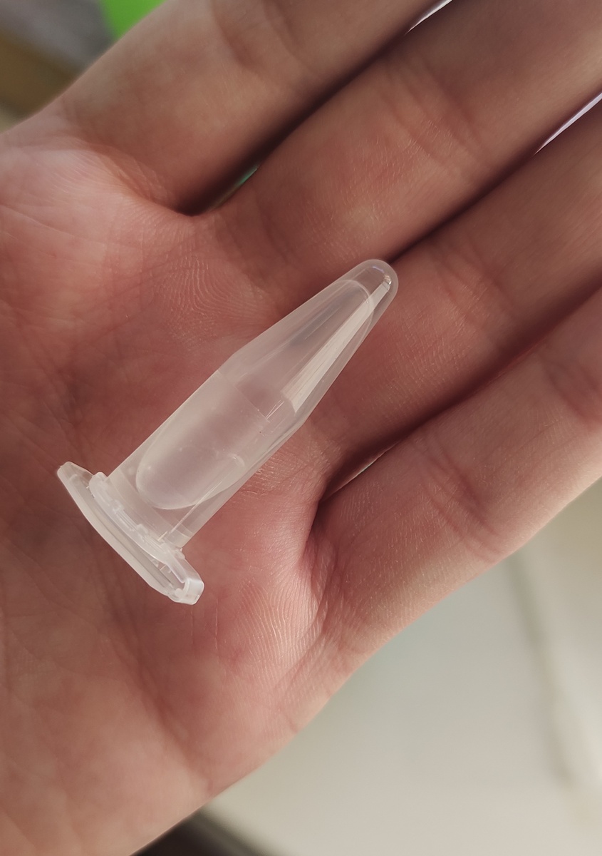 Рисунок 2 - Ампула. 