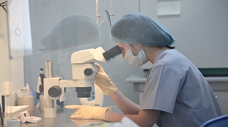    Фото: Baltphoto/ Ирина Мотина