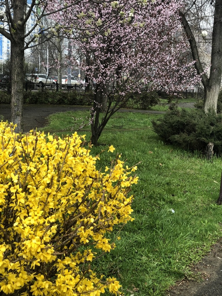 фото моё, канал "О рукоделии, и не только"